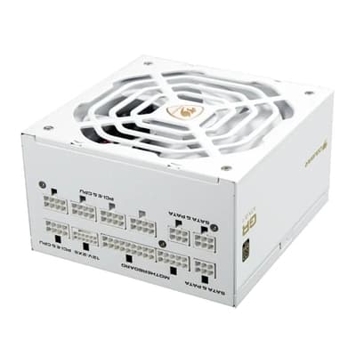 Cougar Fuente Alimentación GR 1000 Snow 80+ Gold