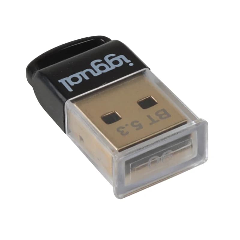 iggual Adaptador USB 2.0 mini Bluetooth 5.3 - 4