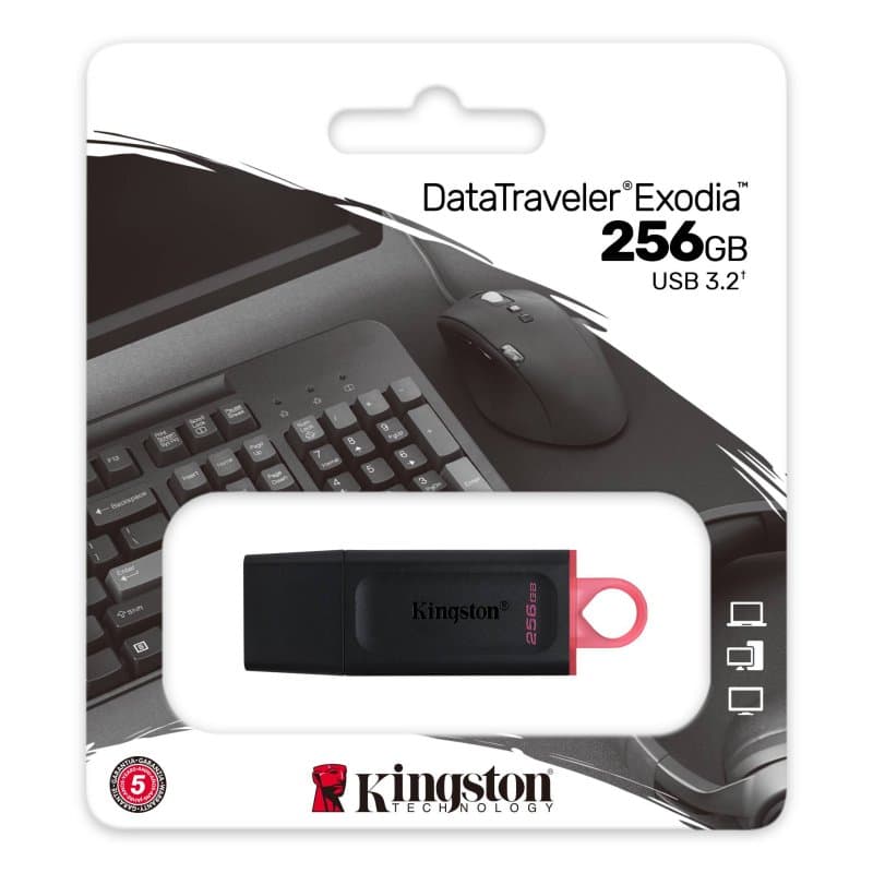 Kingston DataTraveler DTX 256GB USB 3.2 Gen1 Negro - 3